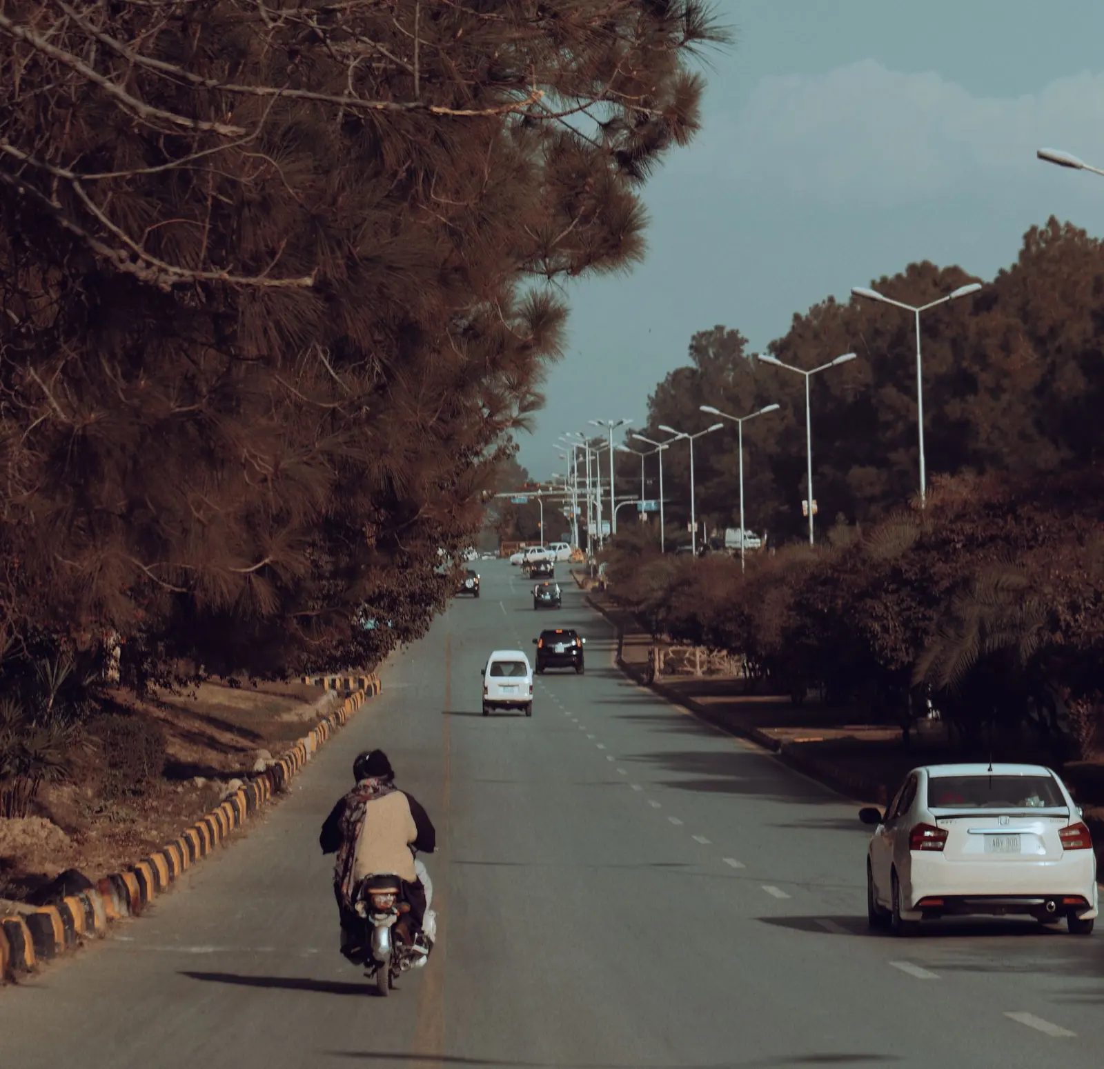 A tree-lined road in Islamabad in autumn